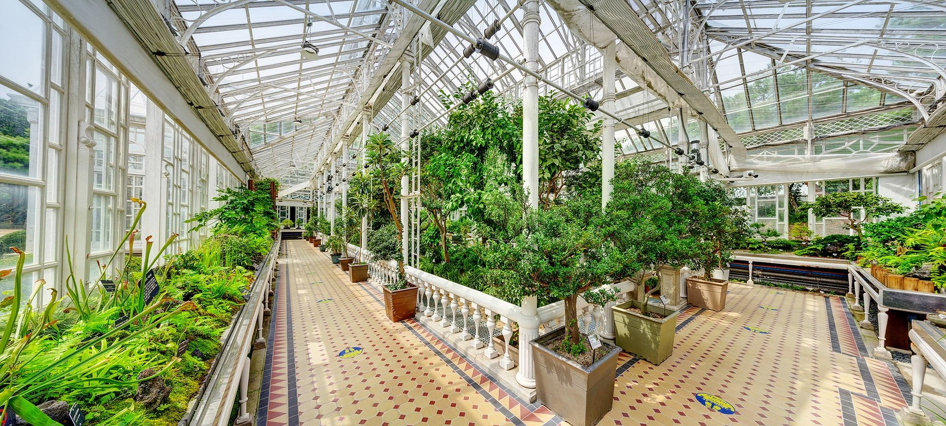 Grand Greenhouse at Changgyeonggung Palace